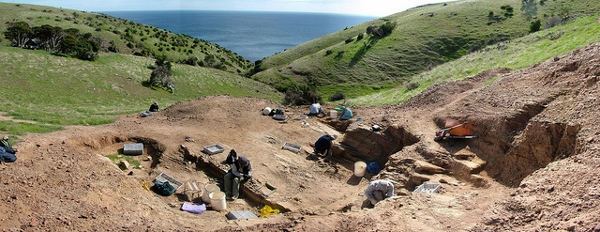 Fossil Dig 