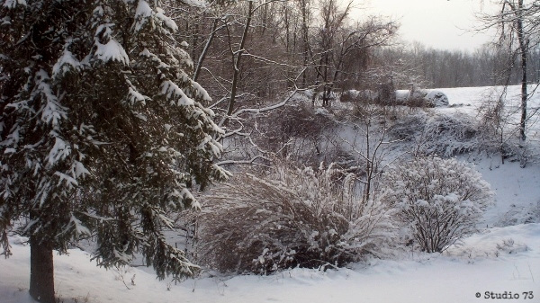 In Winter