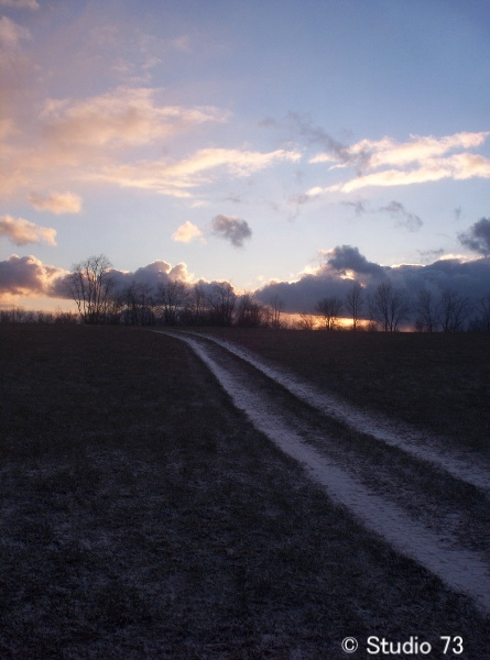 Winter Path