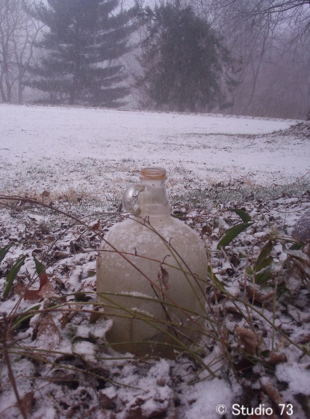 Winter Bottle 